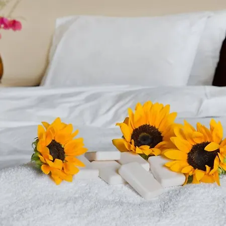 Ξενοδοχείο Galatia 3*