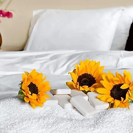 Hotel Galatia 3*